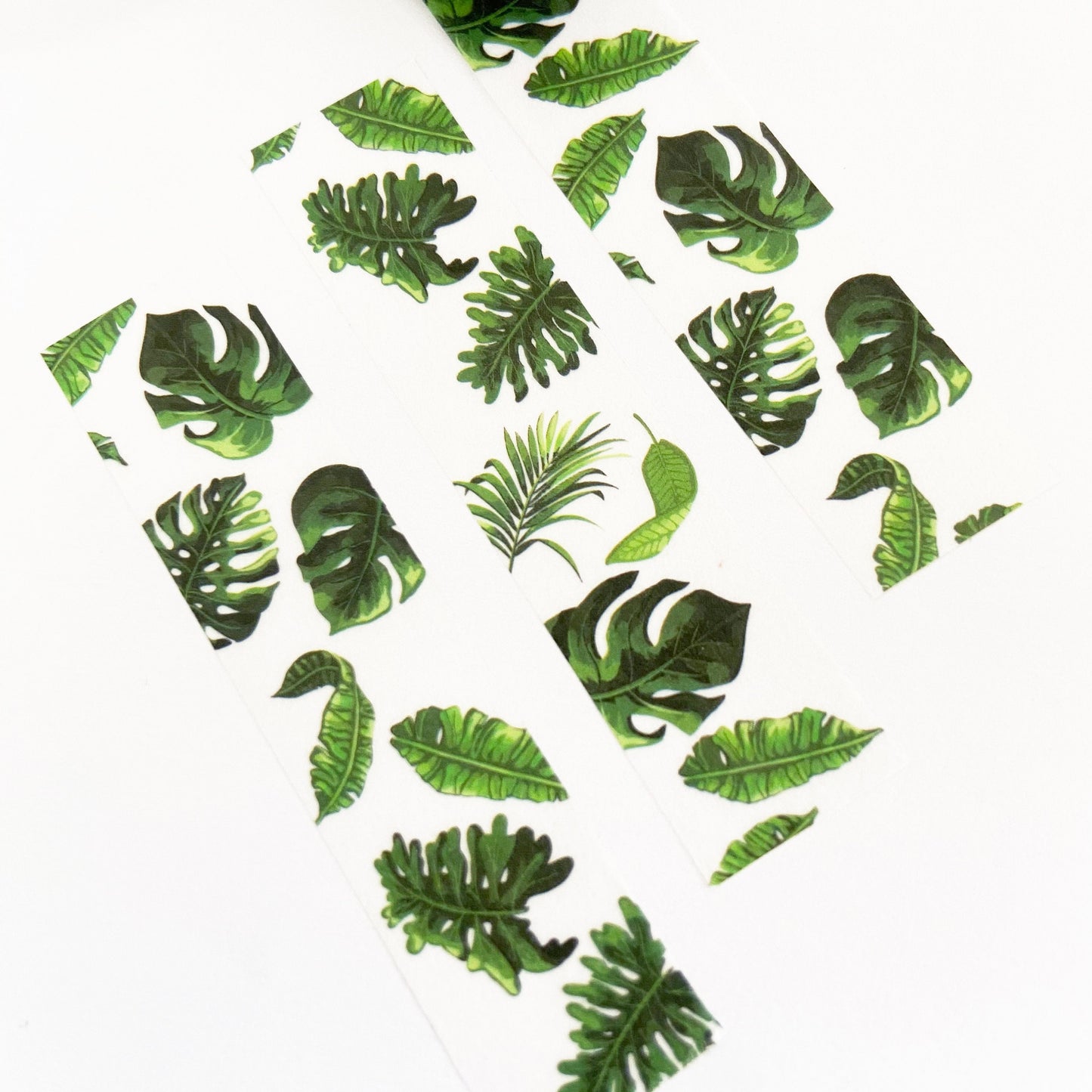 Green & White Rubber House Plant Paper Washi Tape | 15mm x 10m | Stationery Craft Journalling Scrapbooking Journal - SweetpeaStore