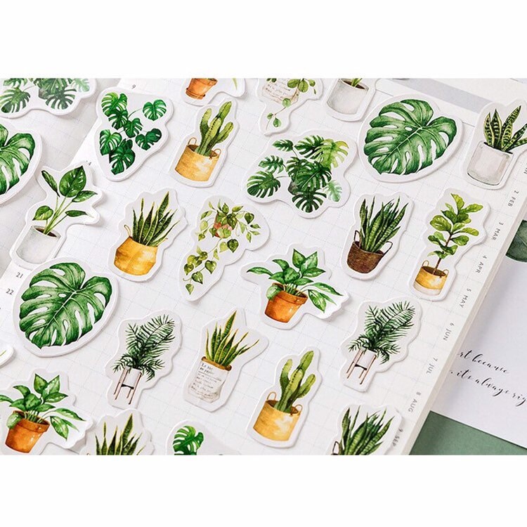 Green Plant Stickers | Pot Plants Leaf Cactus | Mini Box Peel Off Sticker | Scrapbooking Journalling - SweetpeaStore