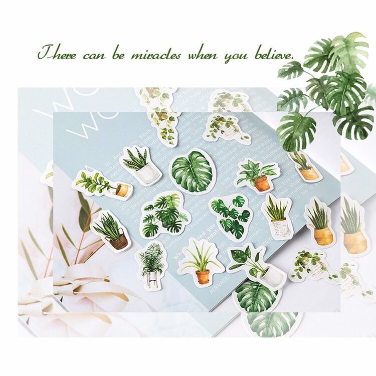 Green Plant Stickers | Pot Plants Leaf Cactus | Mini Box Peel Off Sticker | Scrapbooking Journalling - SweetpeaStore