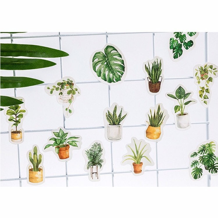 Green Plant Stickers | Pot Plants Leaf Cactus | Mini Box Peel Off Sticker | Scrapbooking Journalling - SweetpeaStore