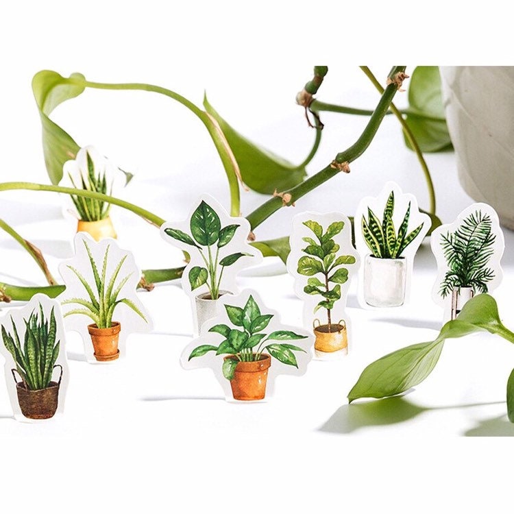 Green Plant Stickers | Pot Plants Leaf Cactus | Mini Box Peel Off Sticker | Scrapbooking Journalling - SweetpeaStore