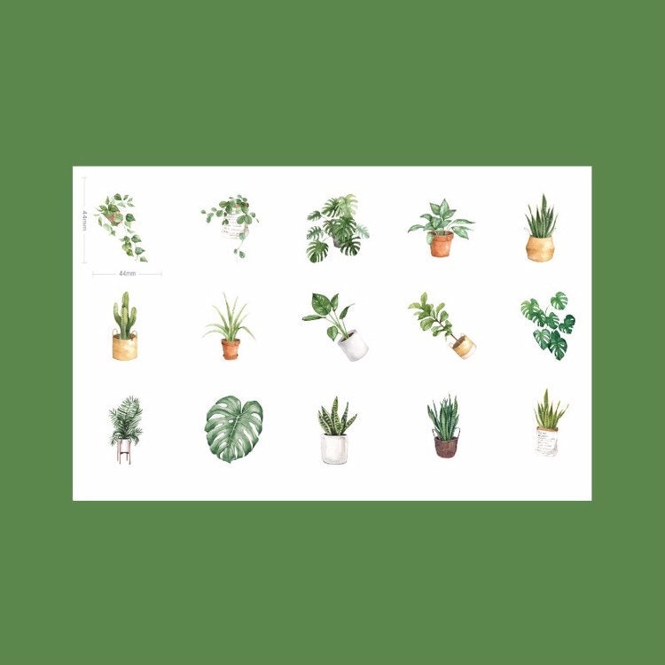 Green Plant Stickers | Pot Plants Leaf Cactus | Mini Box Peel Off Sticker | Scrapbooking Journalling - SweetpeaStore