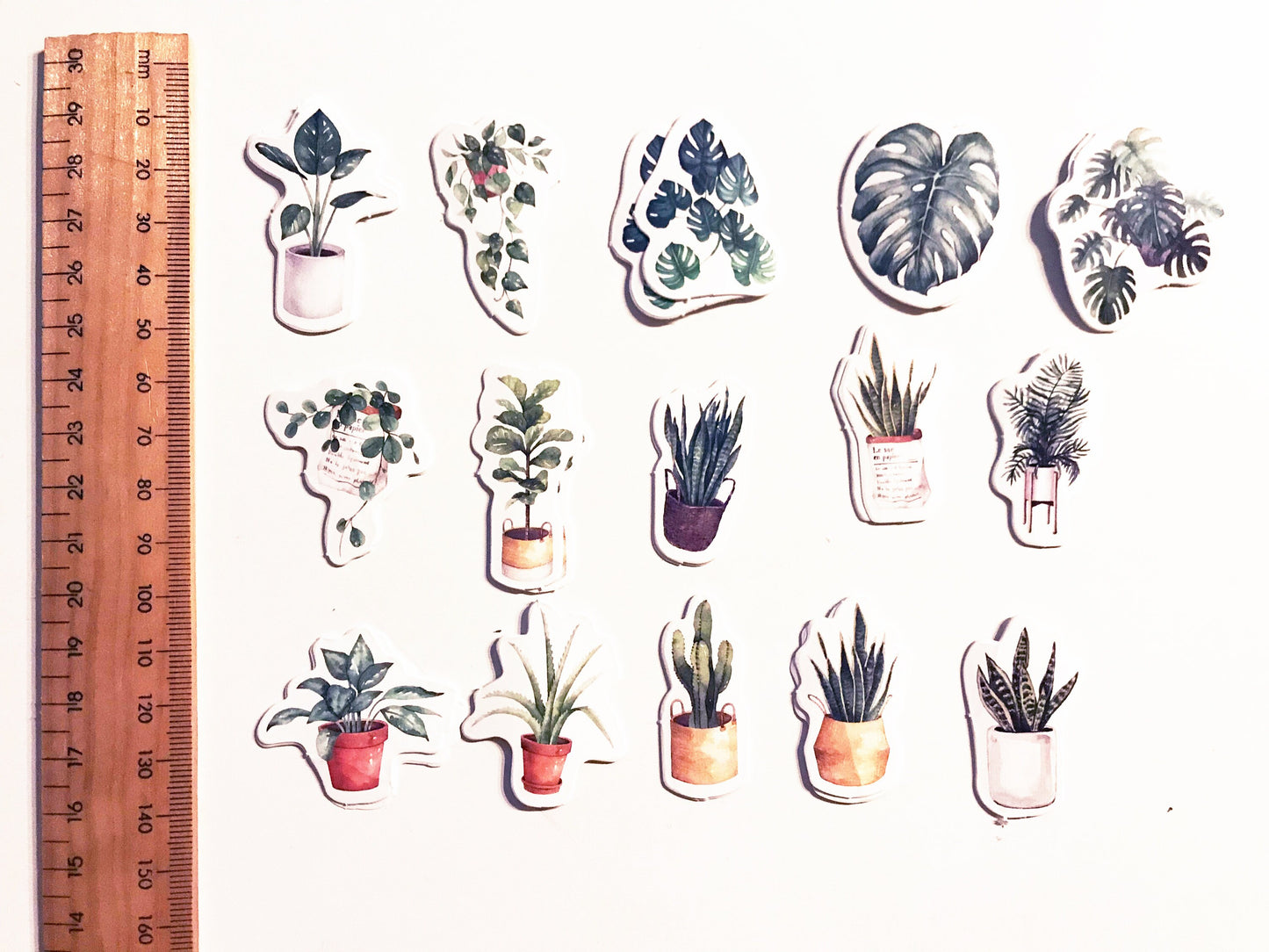 Green Plant Stickers | Pot Plants Leaf Cactus | Mini Box Peel Off Sticker | Scrapbooking Journalling - SweetpeaStore