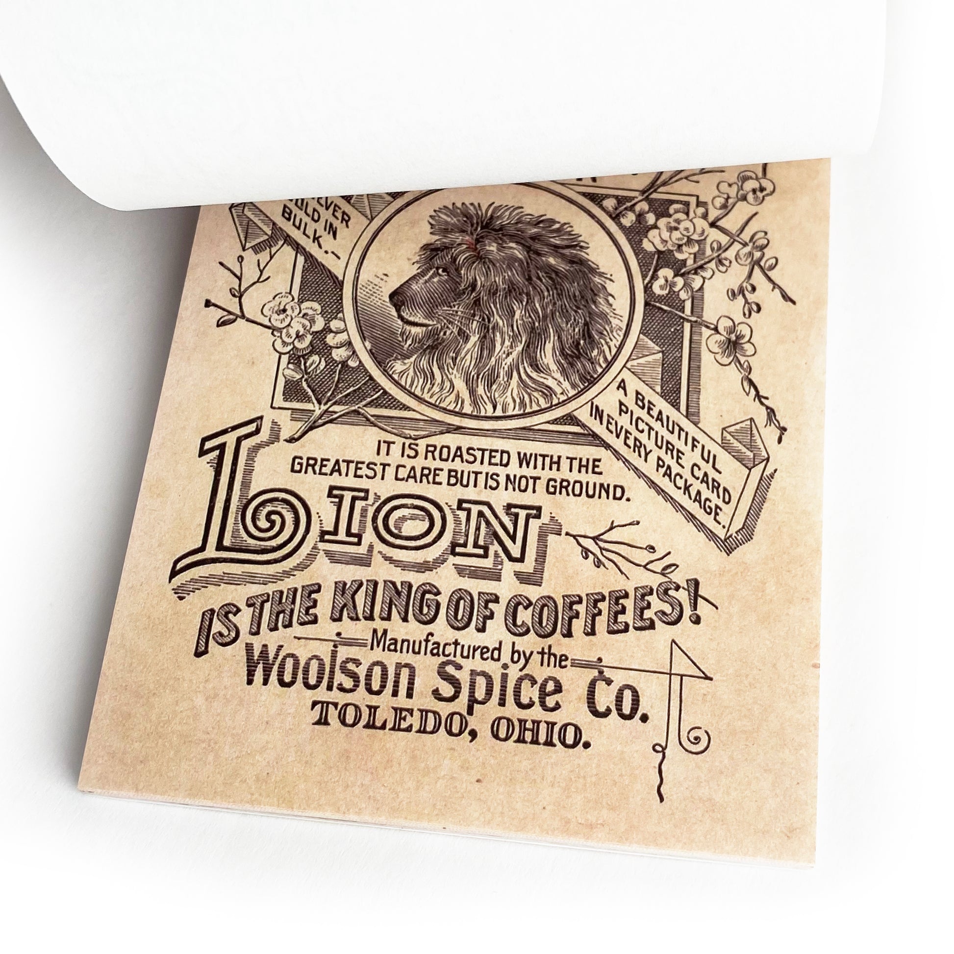 Journalling Papers | Mini Journaling Scrapbook Collage Papers | 60 page Book | Celestial Butterflies Junk Journal Music Botanical Birds - SweetpeaStore