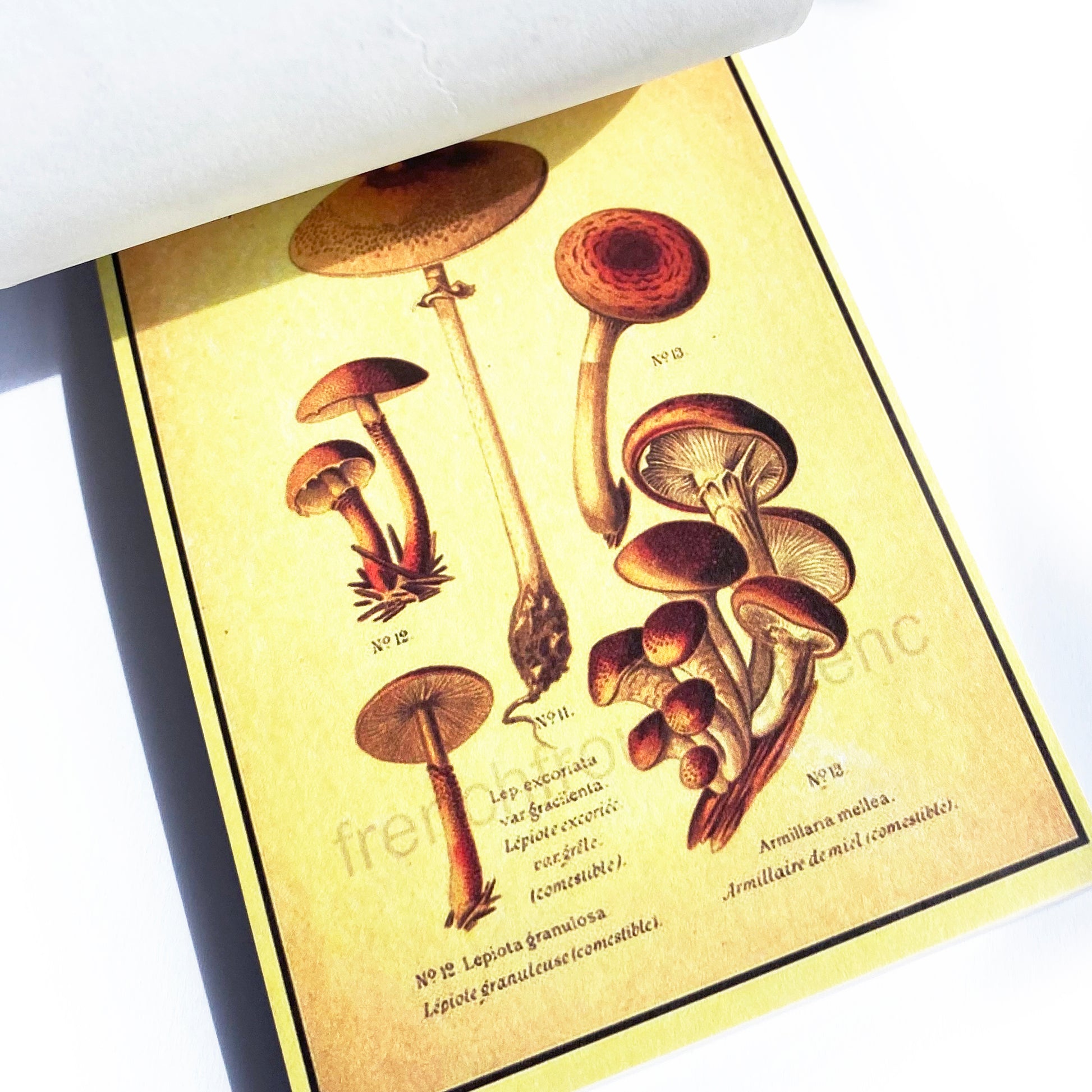 Journalling Papers | Mini Journaling Scrapbook Collage Papers | 60 page Book | Celestial Butterflies Junk Journal Music Botanical Birds - SweetpeaStore