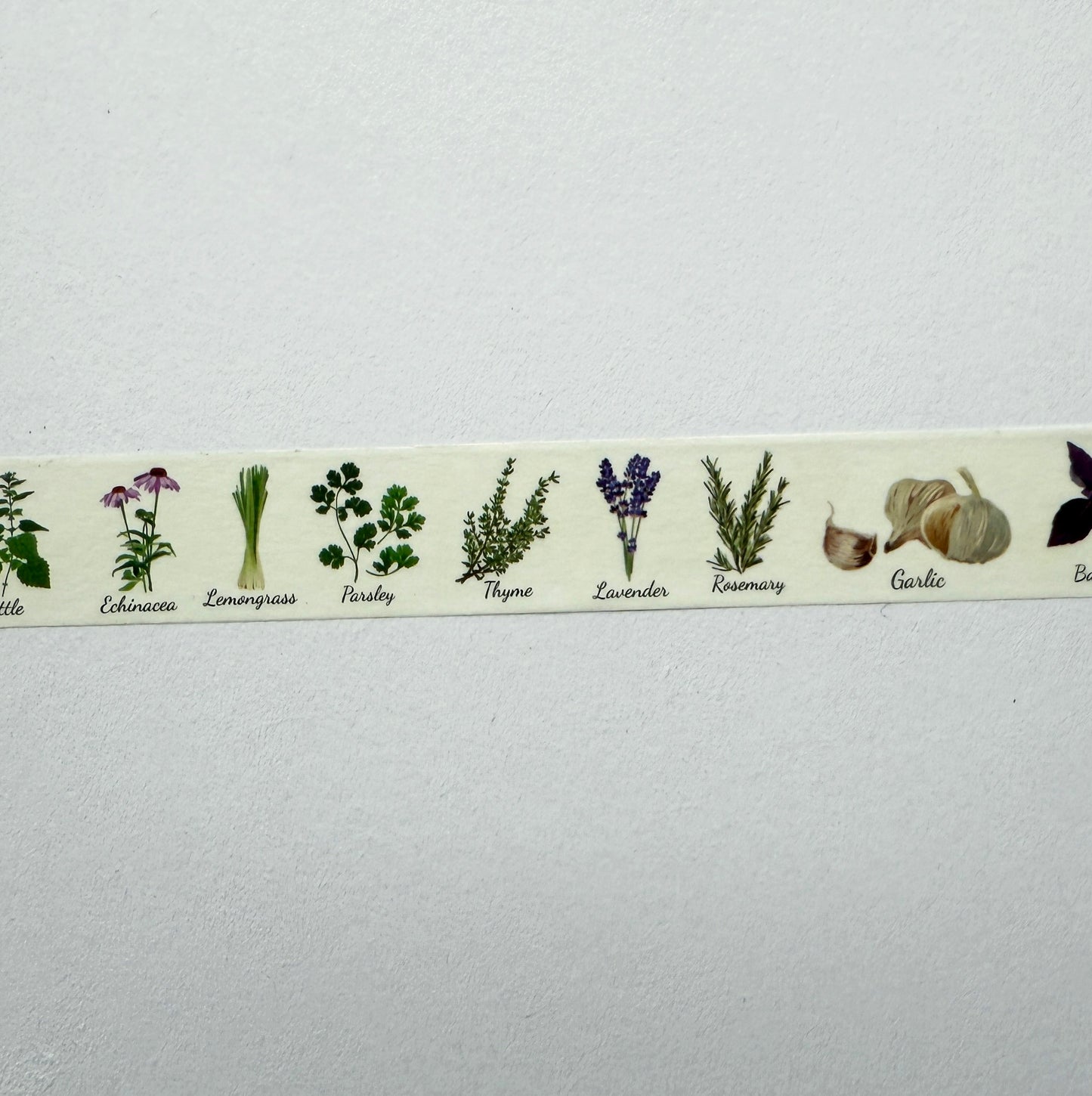 Herbs Washi Tape | Paper Stationery | 1.5cm x 10m | Journalling - SweetpeaStore
