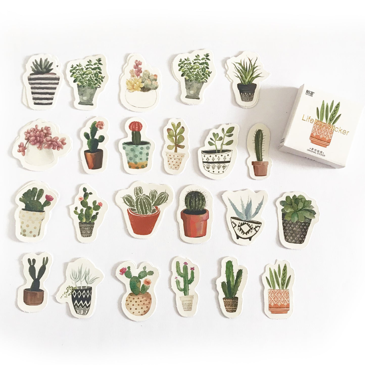 Set of 45 House Plant Cactus Cacti Succulents Journalling Scrapbook Mini Box Stickers - SweetpeaStore