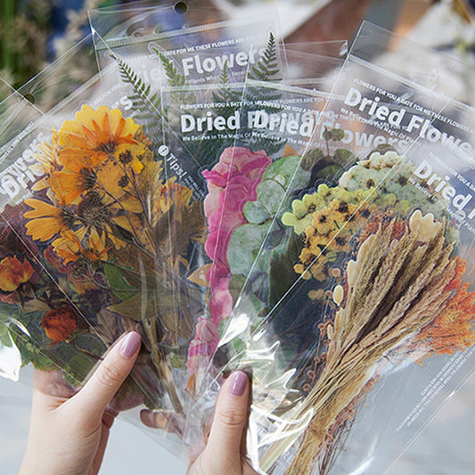 Dried Flowers Leaves Clear Stickers - 20cm - Choose Design Sunflower Eucalyptus - SweetpeaStore