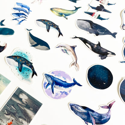 Seaside Stickers | Shells Whales Coastal Sea Life Clam Seashell Matt Sticker