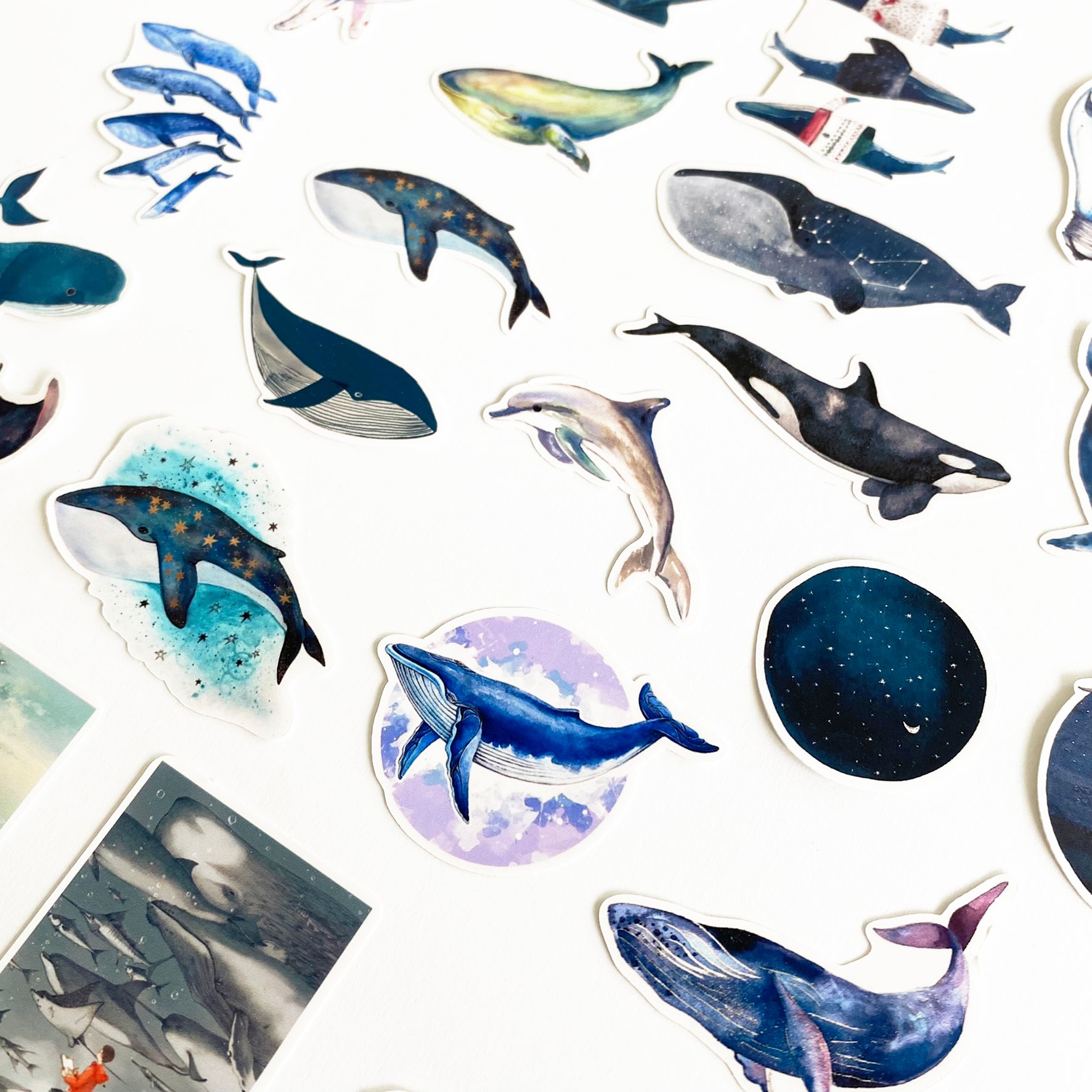 Seaside Stickers | Shells Whales Coastal Sea Life Clam Seashell Matt Sticker - SweetpeaStore