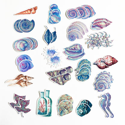 Seaside Stickers | Shells Whales Coastal Sea Life Clam Seashell Matt Sticker - SweetpeaStore