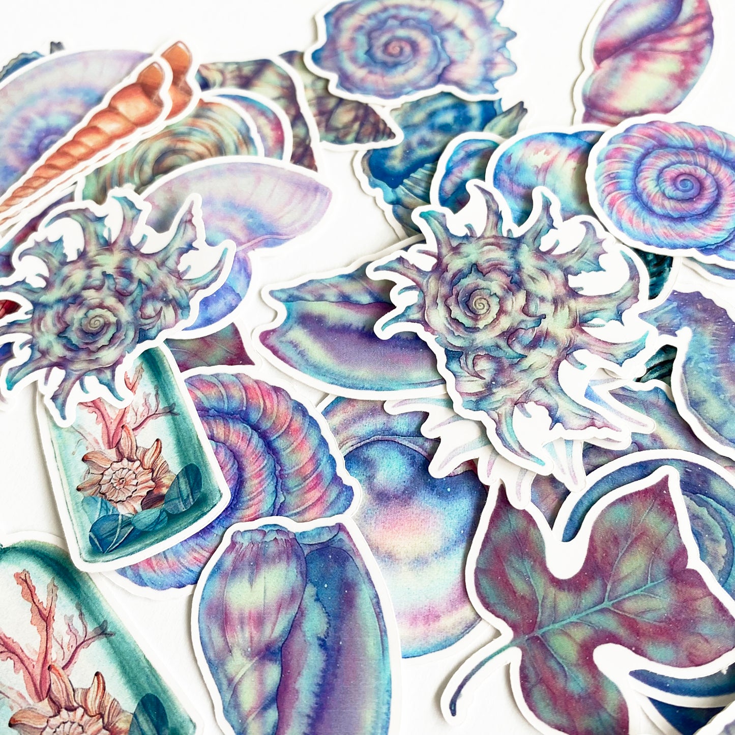 Seaside Stickers | Shells Whales Coastal Sea Life Clam Seashell Matt Sticker