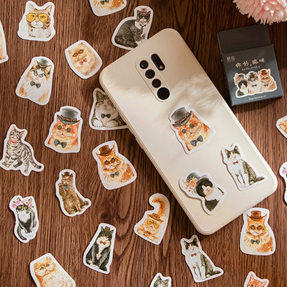 Cute Cat Kitten Mini Box Stickers | 46 Peel Off Sticker | Scrapbooking Journalling Album Planner Stationery