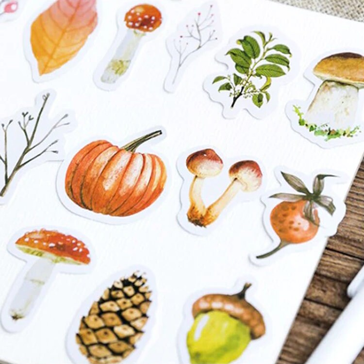 Autumn Forest Stickers | 46 Mini Box Scrapbooking Stickers | Journalling Albums Stationery | Leaves Mushrooms Leaves Acorn Fir Cone - SweetpeaStore