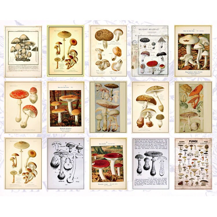 Journalling Papers | Mini Journaling Scrapbook Collage Papers | 60 page Book | Celestial Butterflies Junk Journal Music Botanical Birds - SweetpeaStore