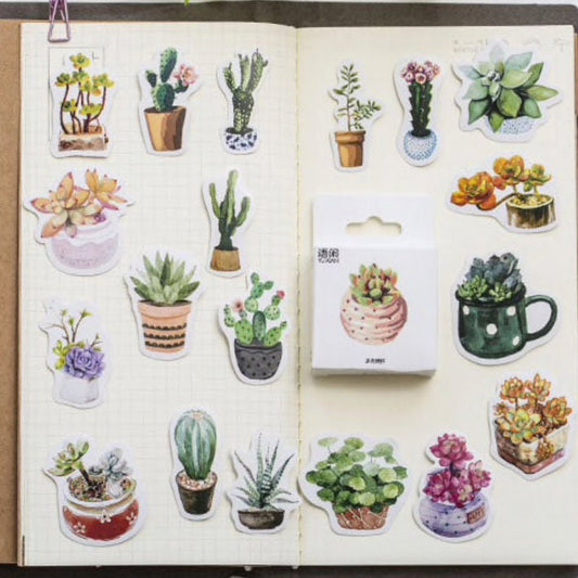 50  House Plant Mini Box Stickers Cactus Cacti Succulents | Peel Off Sticker Scrapbooking Journalling