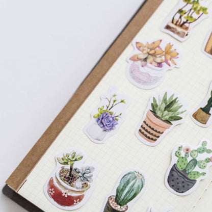 50 House Plant Mini Box Stickers Cactus Cacti Succulents | Peel Off Sticker Scrapbooking Journalling - SweetpeaStore