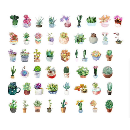 50  House Plant Mini Box Stickers Cactus Cacti Succulents | Peel Off Sticker Scrapbooking Journalling - SweetpeaStore