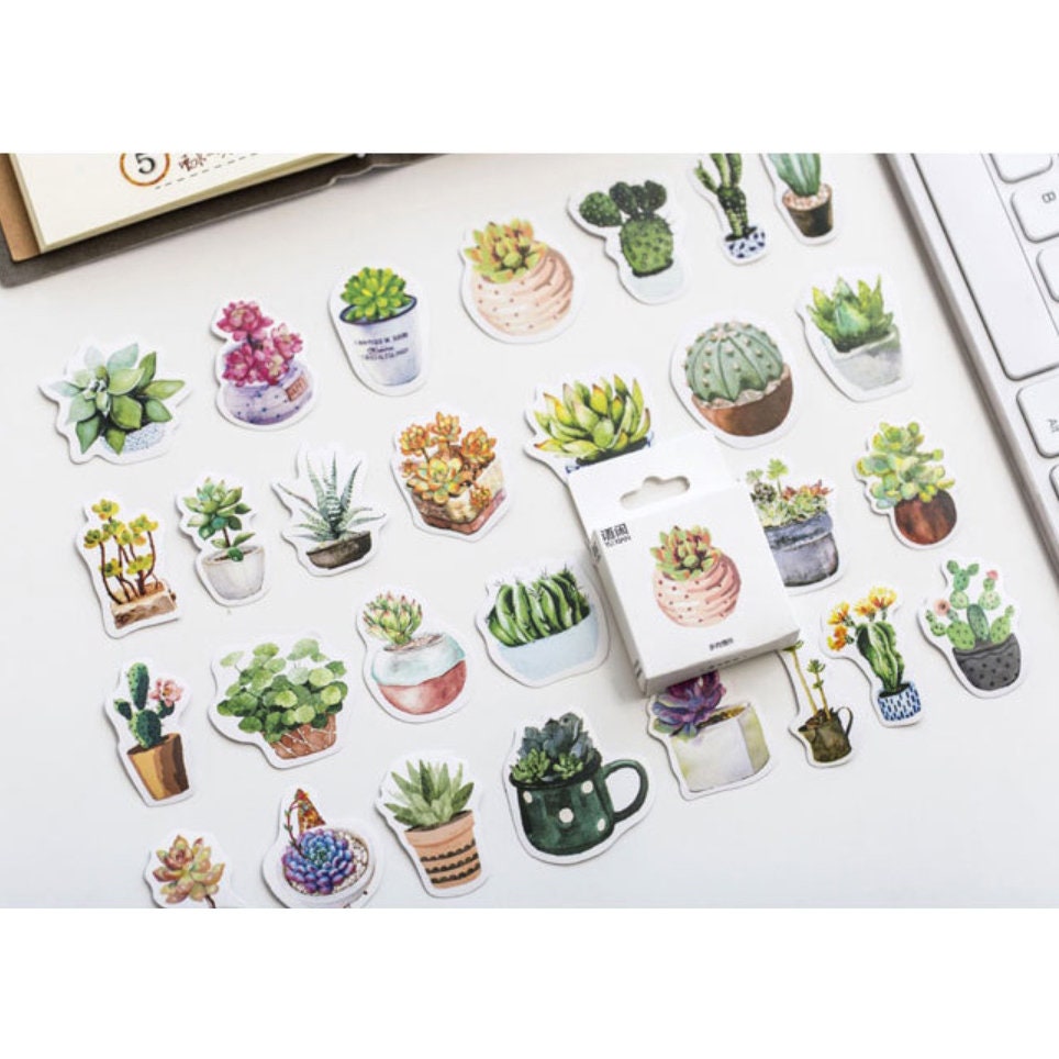 50  House Plant Mini Box Stickers Cactus Cacti Succulents | Peel Off Sticker Scrapbooking Journalling - SweetpeaStore