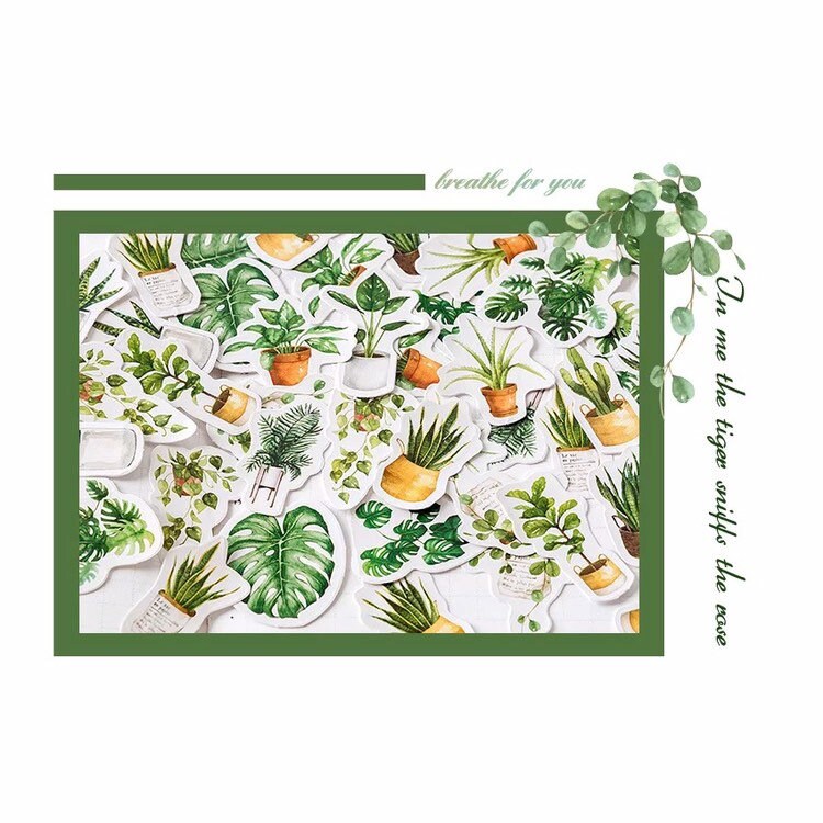 Green Plant Stickers | Pot Plants Leaves Succulent Cacti | Set of 45 Mini Box Peel Off Sticker | Scrapbooking Journalling - SweetpeaStore