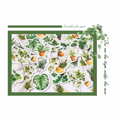 Green Plant Stickers | Pot Plants Leaf Cactus | Mini Box Peel Off Sticker | Scrapbooking Journalling - SweetpeaStore