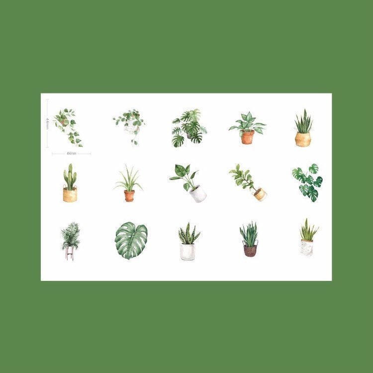Green Plant Stickers | Pot Plants Leaves Succulent Cacti | Set of 45 Mini Box Peel Off Sticker | Scrapbooking Journalling - SweetpeaStore