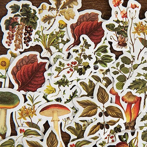 Autumn Forest Stickers Forest Flowers & Fungus Dandelion Mini Box | 46 Peel Off Sticker | Scrapbooking Journalling