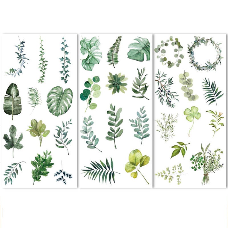 Green Leaves Sticker Sheets | Eucalyptus Rubber Plant Foliage Leaf Vellum Semi-Opaque Washi Sticker