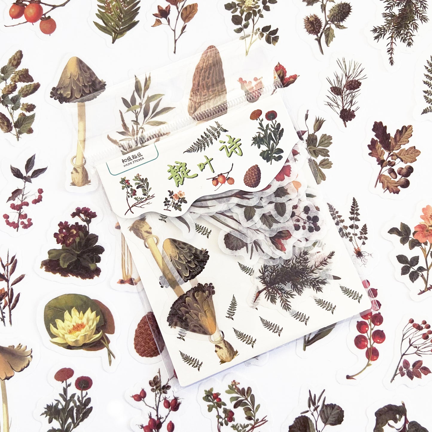 Autumn Stickers & Washi Tape | Sticker Journalling Scrapbooking Stationery - SweetpeaStore