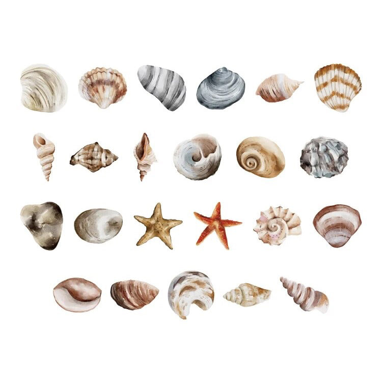 Beach Shell Stickers | 46 Mini Box Scrapbooking Sticker | Journalling Albums Stationery