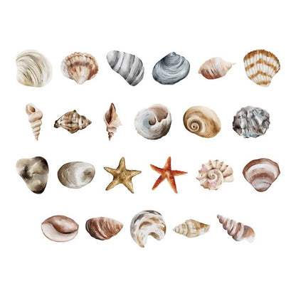Beach Shell Stickers | 46 Mini Box Scrapbooking Sticker | Journalling Albums Stationery - SweetpeaStore
