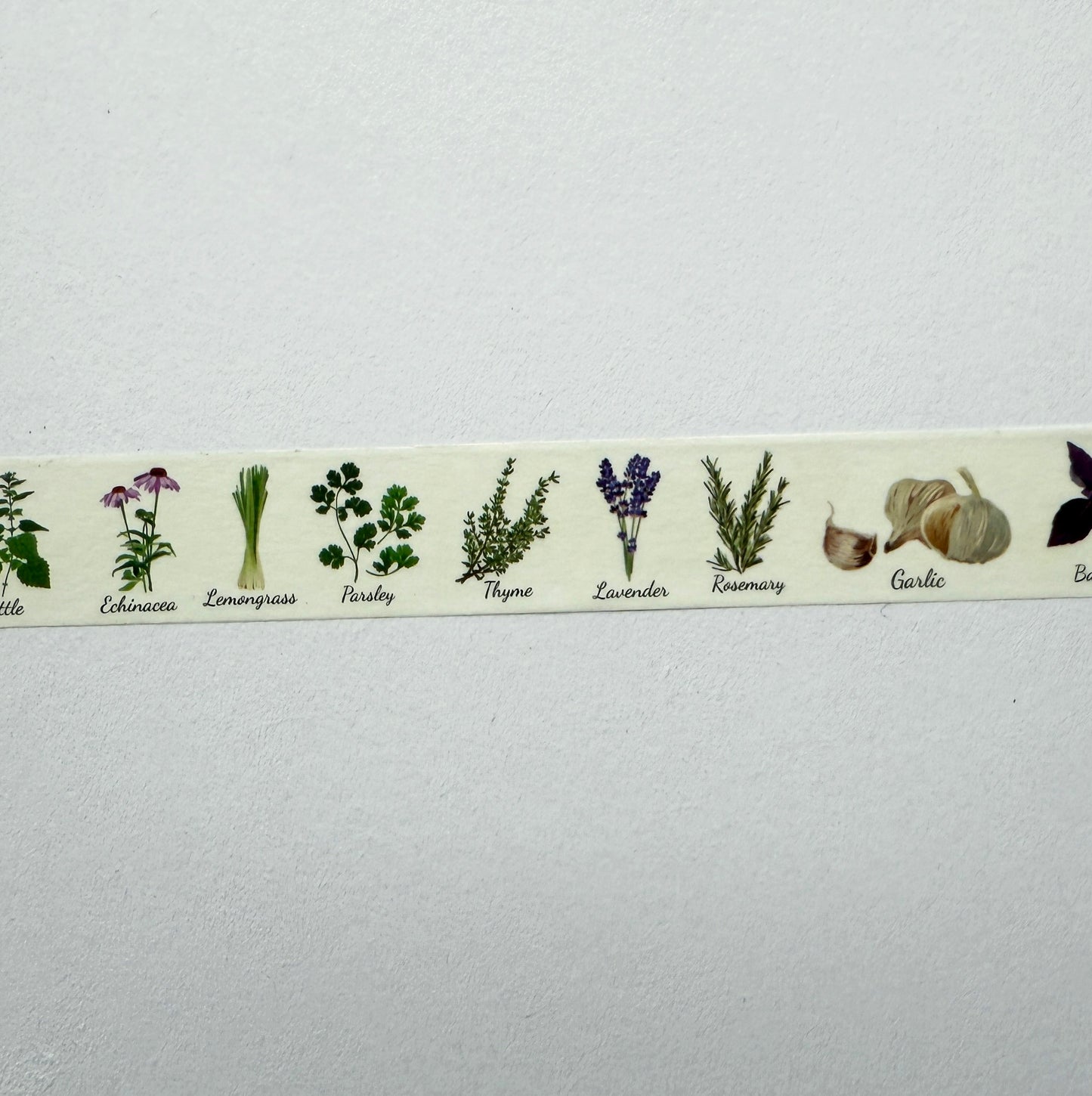 Herbs Washi Tape | Paper Stationery | 1.5cm x 10m | Journalling