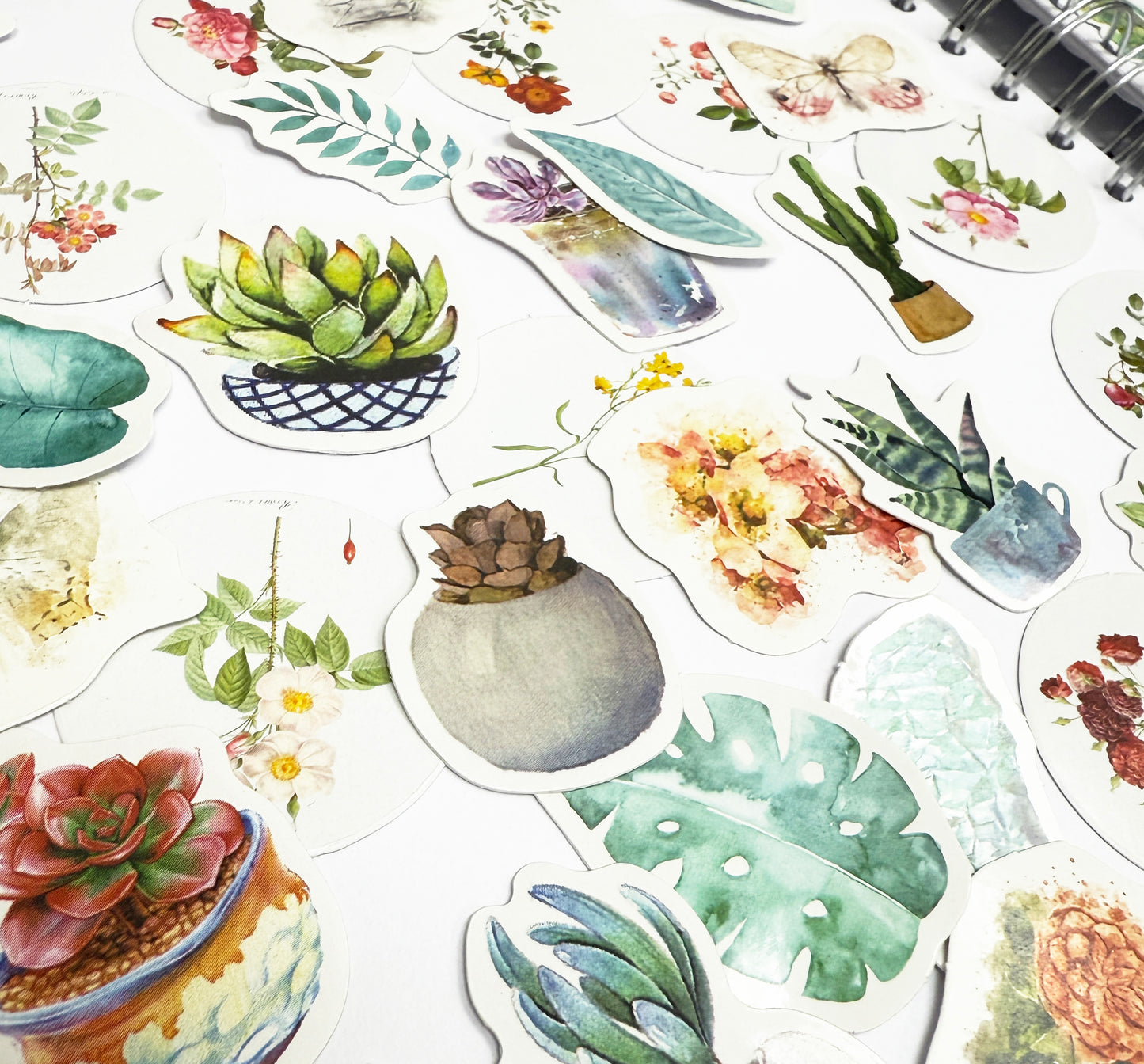 Vintage Flowers & House Plant Stickers | 4 x Mini Boxes 186 pcs | Scrapbooking - SweetpeaStore