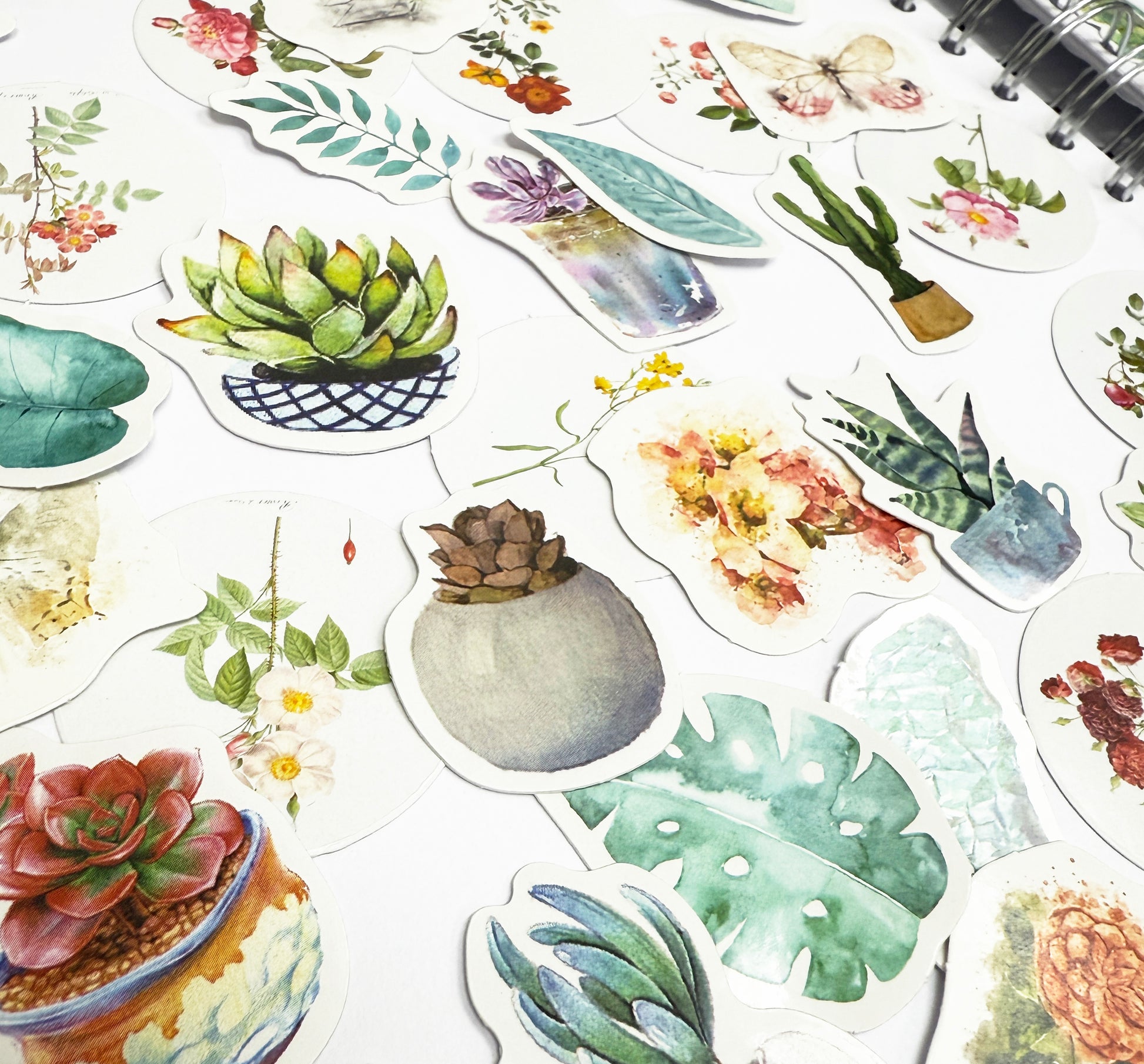 Vintage Flowers & House Plant Stickers | 4 x Mini Boxes 186 pcs | Scrapbooking - SweetpeaStore
