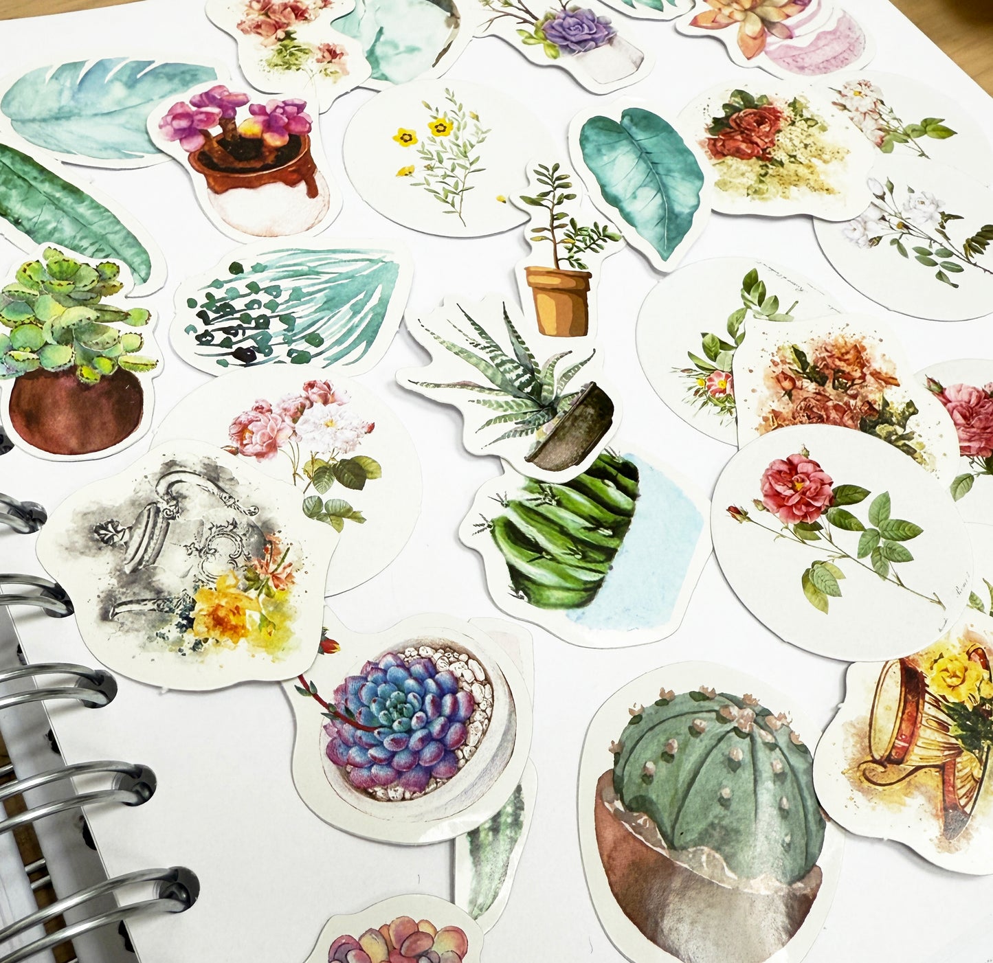 Vintage Flowers & House Plant Stickers | 4 x Mini Boxes 186 pcs | Scrapbooking - SweetpeaStore