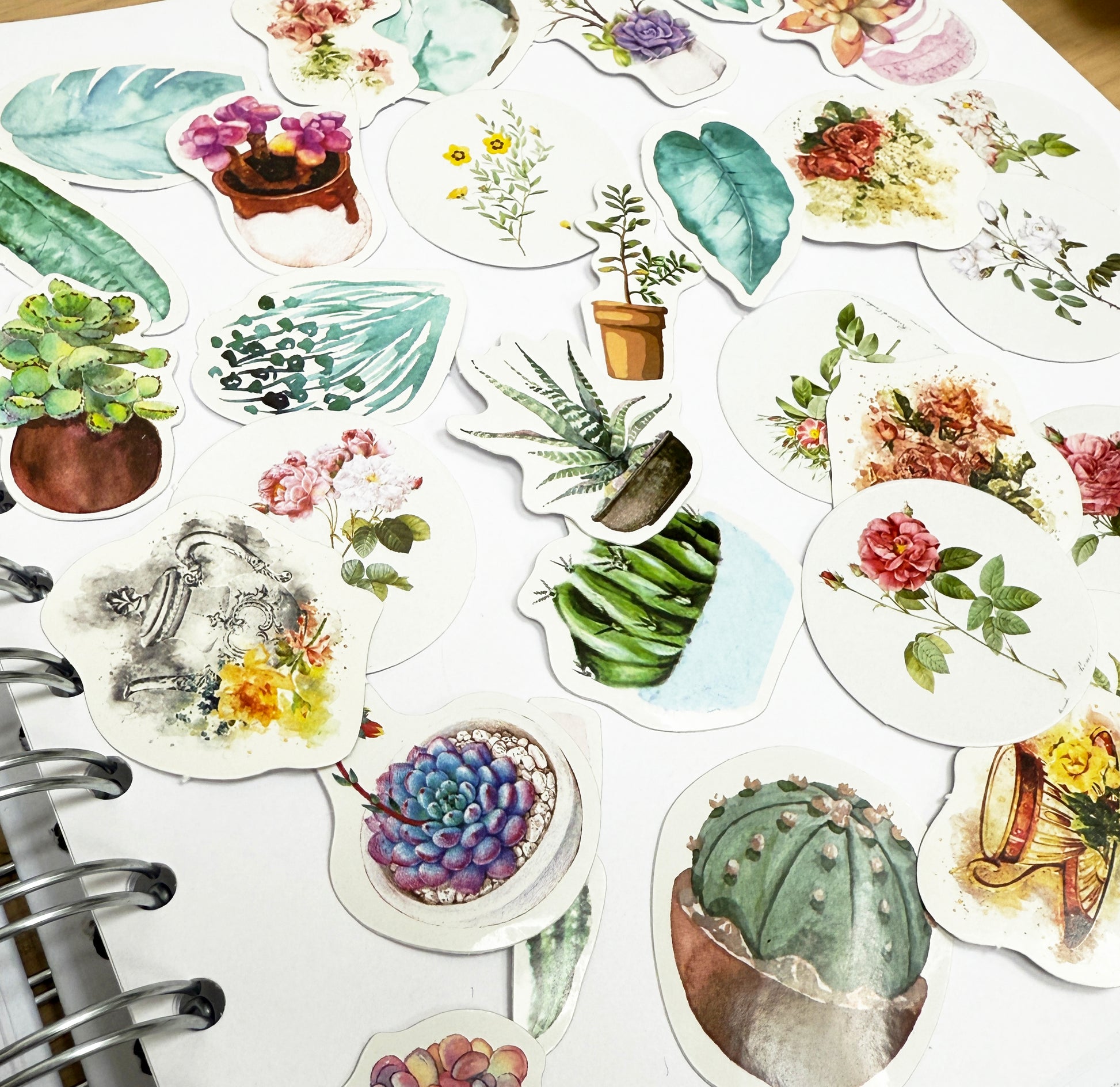 Vintage Flowers & House Plant Stickers | 4 x Mini Boxes 186 pcs | Scrapbooking - SweetpeaStore