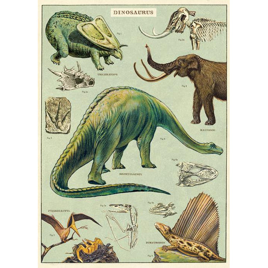 Dinosaurs Poster Paper Craft Wrap Decoupage - 50 x 70cm - Cavallini & Co - SweetpeaStore