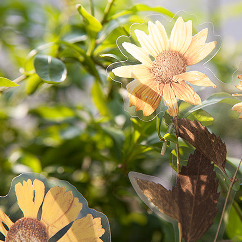 Dried Flowers Leaves Clear Stickers - 20cm - Choose Design Sunflower Eucalyptus - SweetpeaStore