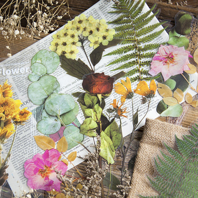 Dried Flowers Leaves Clear Stickers - 20cm - Choose Design Sunflower Eucalyptus - SweetpeaStore