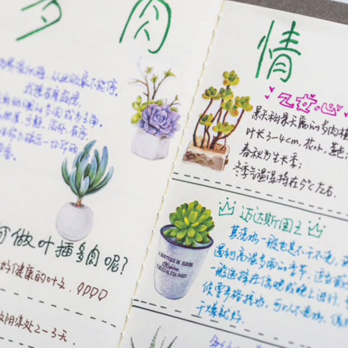 50 Watercolour Cactus & Succulents Mini Box Stickers - SweetpeaStore