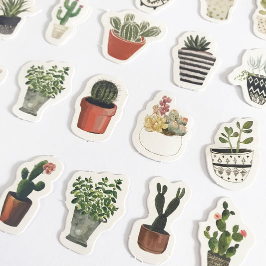 Set of 45 House Plant Cactus Cacti Succulents Journalling Scrapbook Mini Box Stickers - SweetpeaStore