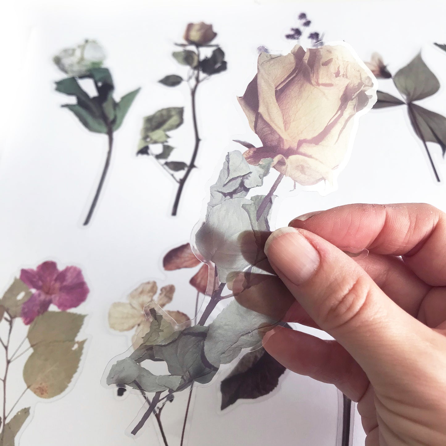 Pretty Rose Flower Clear Transparent Peel off Sticker Set - SweetpeaStore